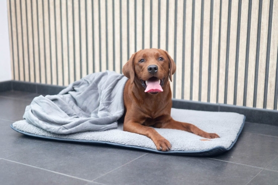 JV Cocoon deken grijs- 130cmx170cm