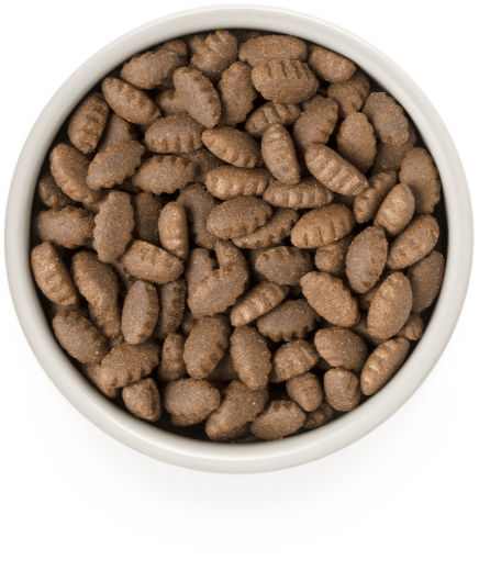 GD-Dog - Turkey - Adult Maxi Breeds - 3 Kg