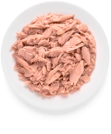 GD-Cat - Tuna Fillet - 70g