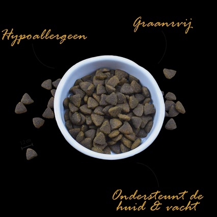 Riverwood Adult Scottish Salmon 2 kg