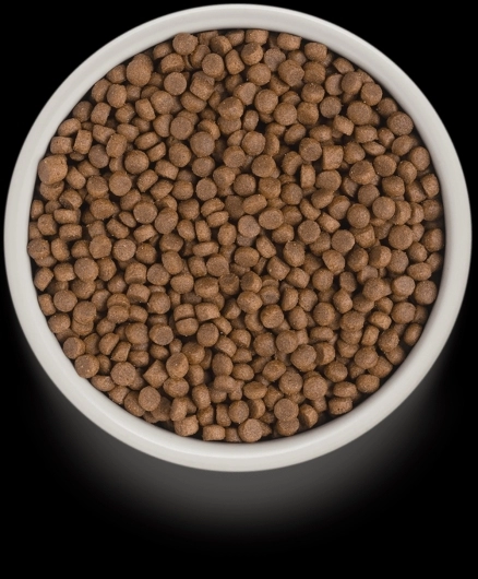 GD-Cat - 4 Meat - Adult Indoor - 2 Kg