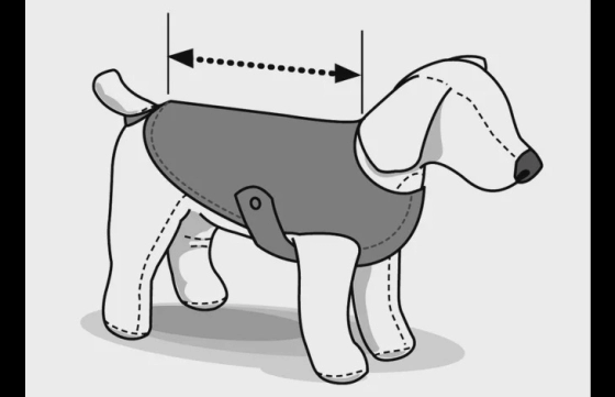 SAFETY BODY GRIJS 64 CM