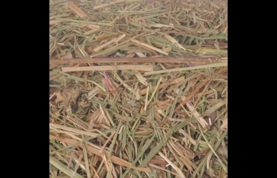 Snack Weidehooi 2,5kg