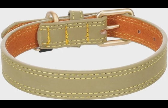 Halsband Virginia Groen S/M 31-39cm