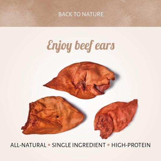 Runderoor Smoked 10stuks