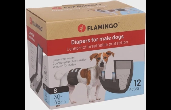 Luier Mannelijk Dipy Zwart Small