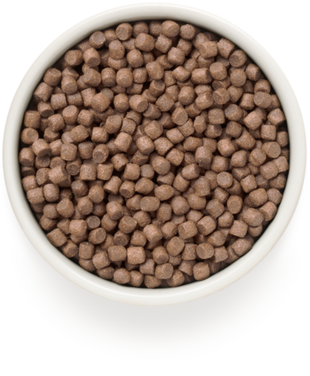 GD-Dog - White Fish - Adult Medium & Maxi Breeds - 1 Kg