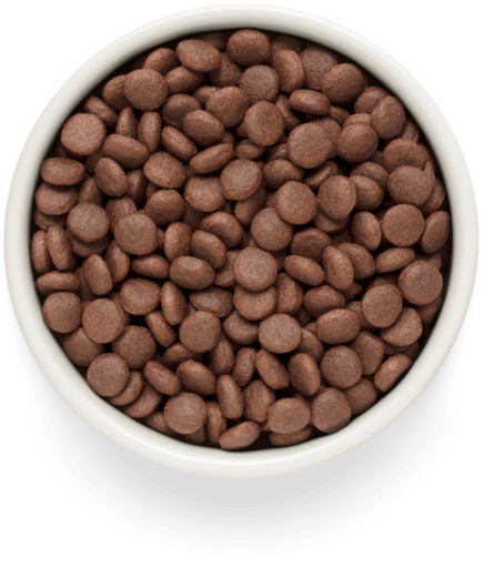 GF-Dog - Fresh Lamb - Adult Medium & Maxi Breeds - 3 Kg