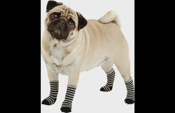 Sokken Sockies 4 st Zwart & Grijs S