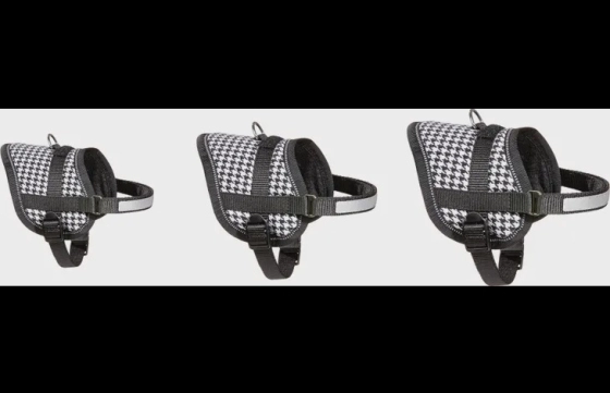 Harnas Eeny Meeny Zwart & Wit Small