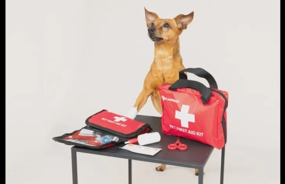 EHBO-kit Resku Premium