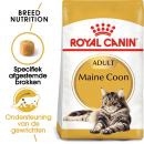 RC Maine Coon 2kg