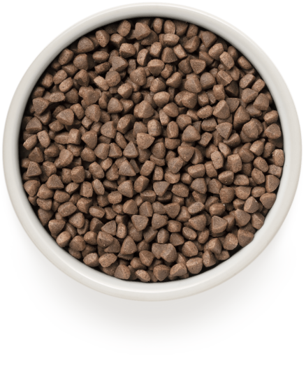 GD-Cat - Rabbit & Turkey - Adult Sterilized - 400g