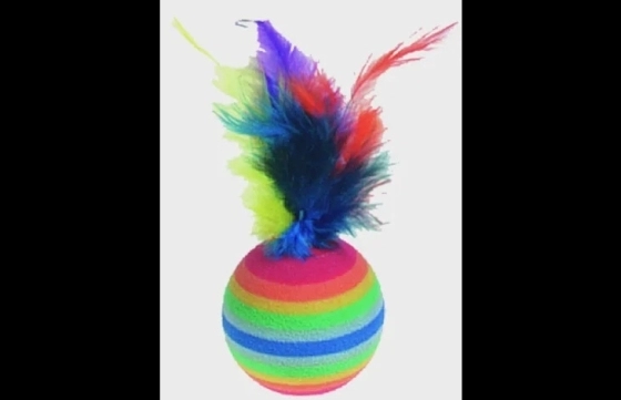 Speelgoed Gabriel Bal Meerkleurig