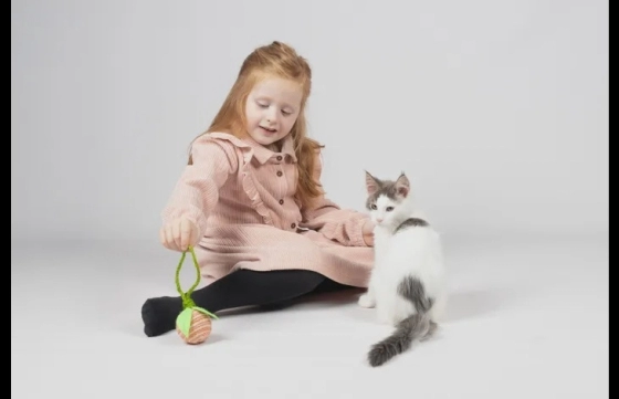 Speelgoed Roora Bal Meerdere kleuren