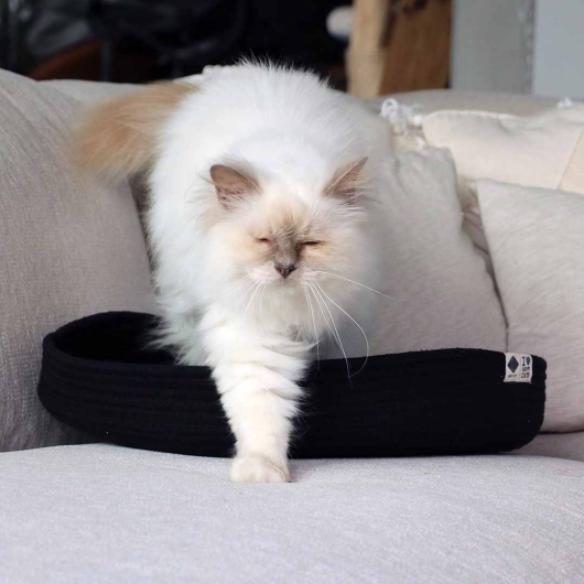 JESS - Kattenmand Zwart