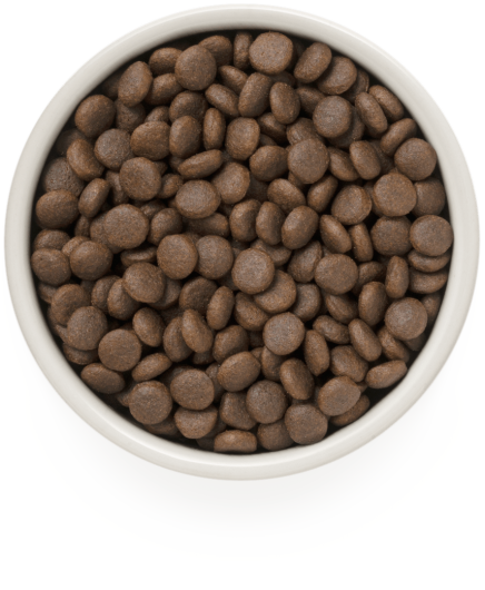 GD-Dog - 4 Meat  - Adult Medium & Maxi Breeds - 1 Kg