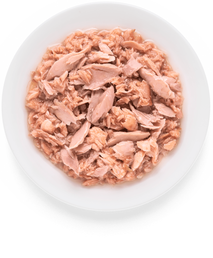 GD-Cat - Tuna Fillet & Salmon - 70g