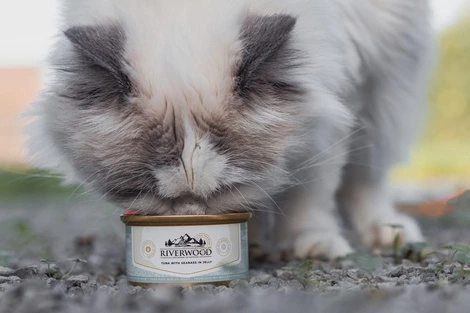 Riverwood Caviar for cats - Tonijn met Zeebaars 85g