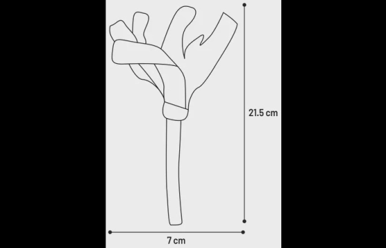 Speelgoed Texu Staaf Bruin