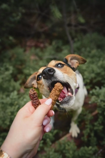 Riverwood Grillmaster Turkey & Rabbit 100gr