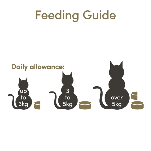 Applaws Cat Cans Tuna Fillet & Seaweed 156g