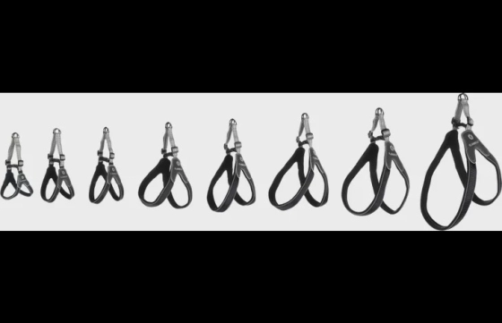 Harnas Easy Hilka Zwart