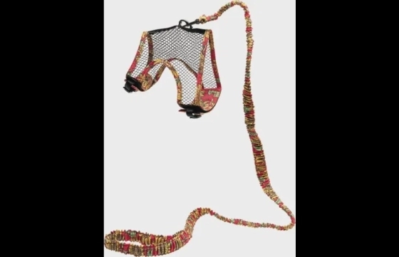 Harnas met looplijn Art Joy Meerkleurig