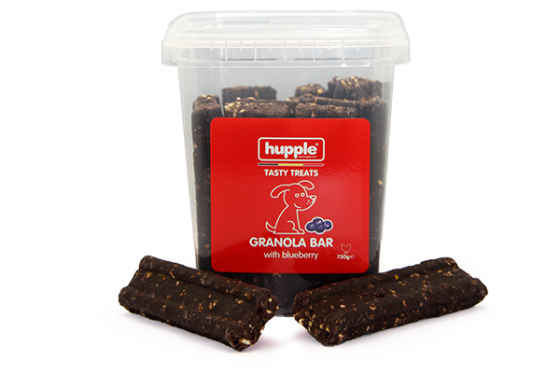 Granola Bar With Blueberry