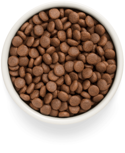 GF-Dog - Fresh Salmon - Adult Medium & Maxi Breeds - 10 Kg