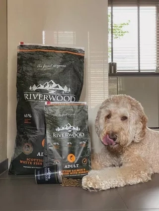 Riverwood Adult Scottish Salmon 2 kg