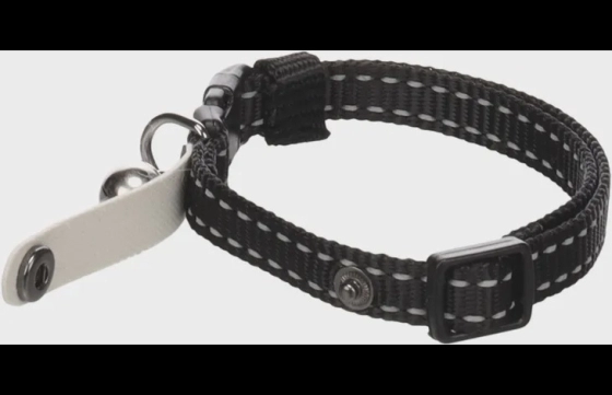 Halsband Jaggo Zwart