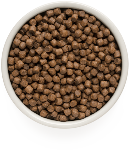 GD-Dog- Lamb & Turkey Adult Mini Breeds 1kg