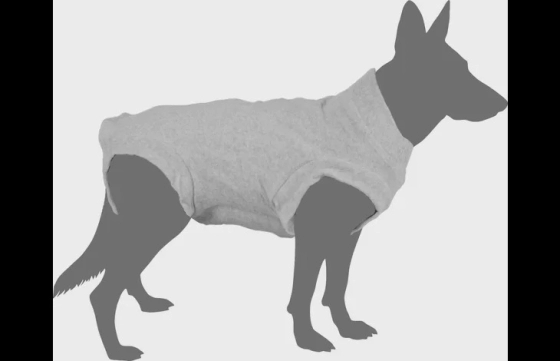 SAFETY BODY GRIJS 64 CM