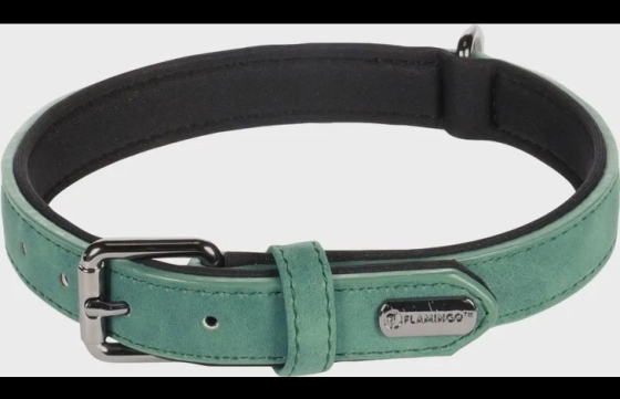 Hond Halsband met neopreen Delu Groen M 36-44cm 20mm