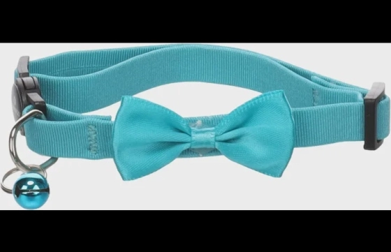 Halsband met strik Castor Turkoois