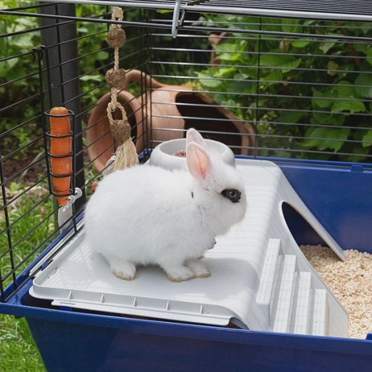 RABBIT 120 - Large cage for rabbits and guinea pigs