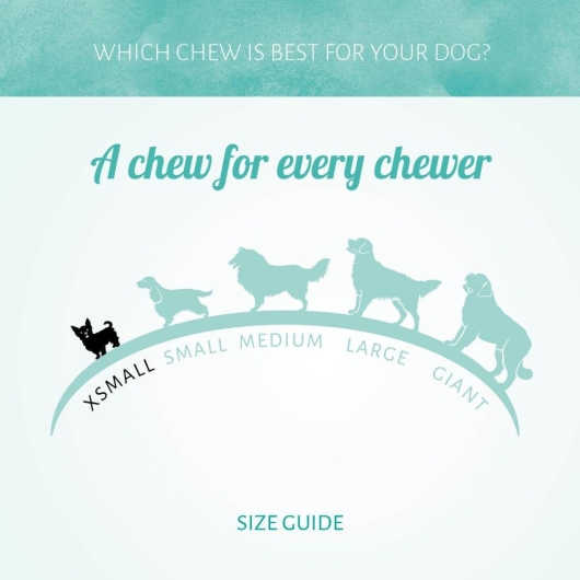 Cerea Brushies Dogs 100g