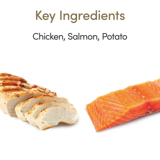 Applaws Cat Dry Adult Chicken & Salmon 400gr