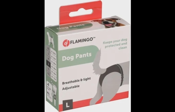 Slip Vrouwelijk Sasha Zwart Large