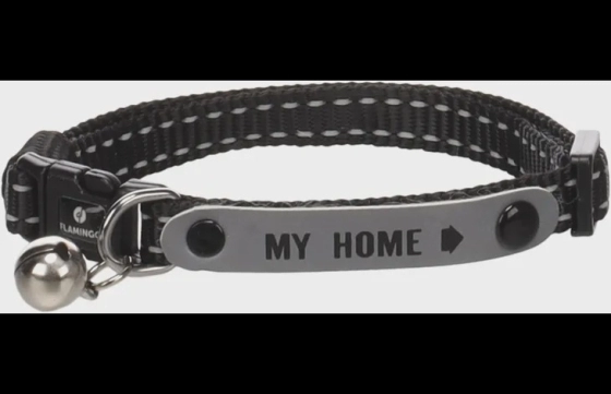 Halsband Jaggo Zwart