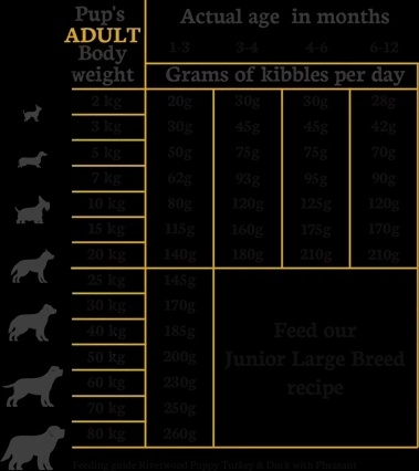 Riverwood Puppy Turkey 2 kg