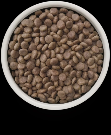 GV-Dog - Turkey - Gastrointestinal Low Fat - 1KG