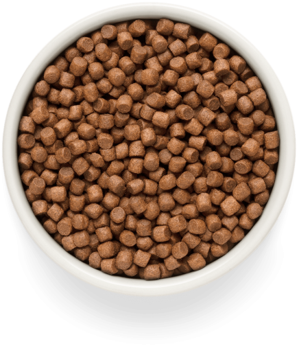 GF-Dog - Fresh Salmon - Adult Mini Breeds - 3 Kg