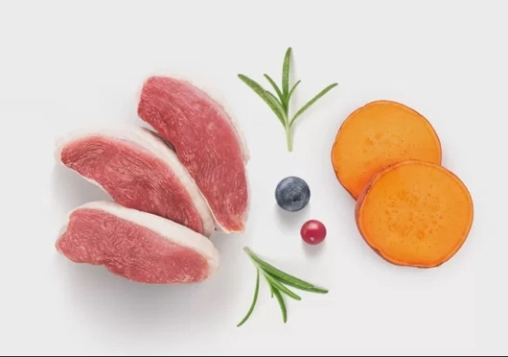 GF-Cat - Fresh Duck - Adult Sterilized - 2Kg