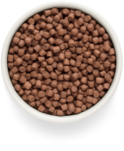 GF-Dog - Fresh Lamb - Adult Mini Breeds - 3 Kg