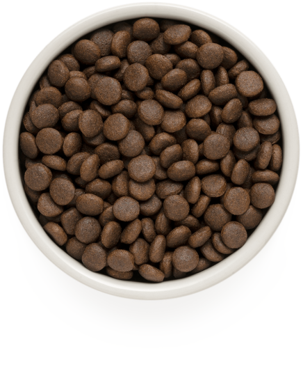 GD-Dog - Rabbit & Turkey - Adult Medium & Maxi Breeds - 1 Kg