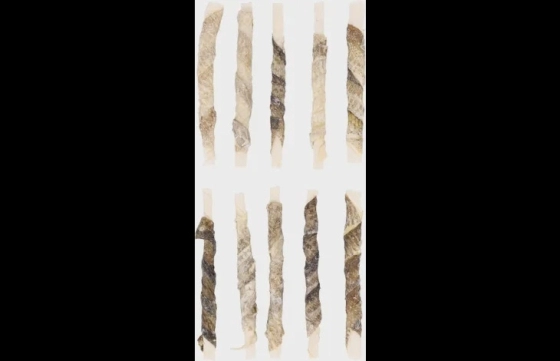 Hapki R'Hide met vishuid 85g