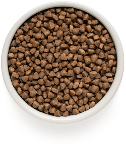 GD-Cat - Lamb & Turkey - Adult Indoor - 400g