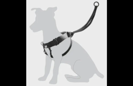 Harnas Easy Walker Zwart - L